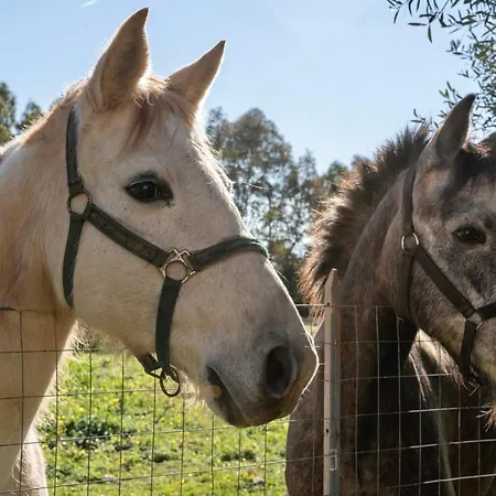 Casa Montjuic Mare & Passione Holiday home Alghero