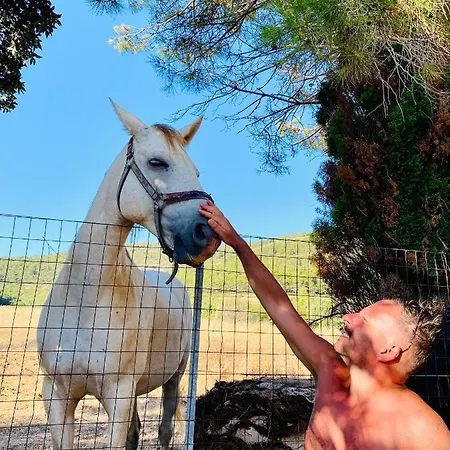 Casa Montjuic Mare & Passione Casa vacanze