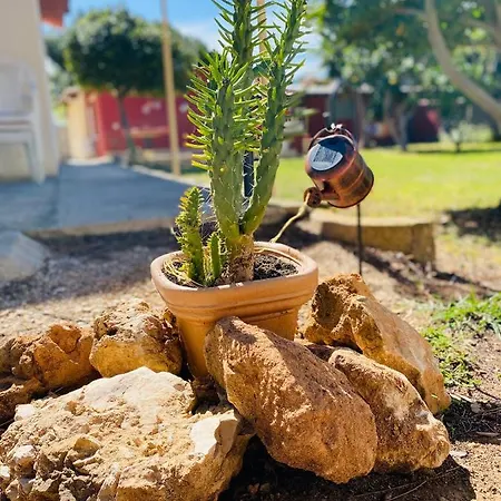 Casa Montjuic Mare & Passione